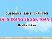 Giải bài 5 trang 56 Toán 6 Tập 1 SGK Chân trời sáng tạo